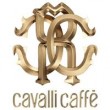 CAVALLI CAFE